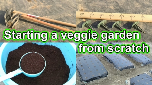 Making a vegetable garden