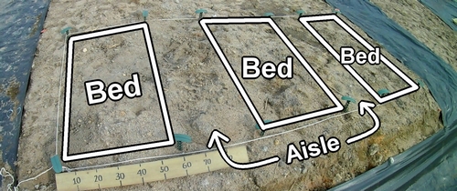 Determine the positions for the three beds