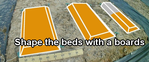 Shape the beds with a boards