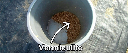 Vermiculite