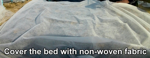 Cover the vegetable beds with non-woven fabric