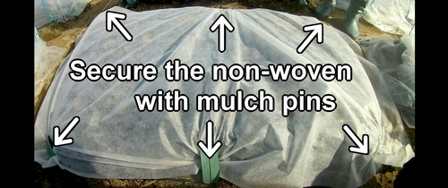 Secure the non-woven fabric with mulch pins