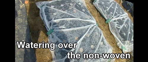 Watering over the non-woven fabric