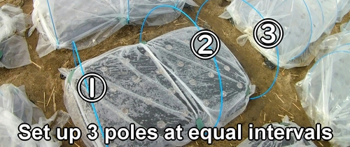 Set up 3 poles at equal intervals