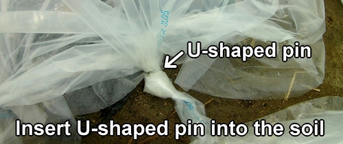 Insert U-shaped garden pin into the soil