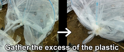 Gather the excess of the plastic