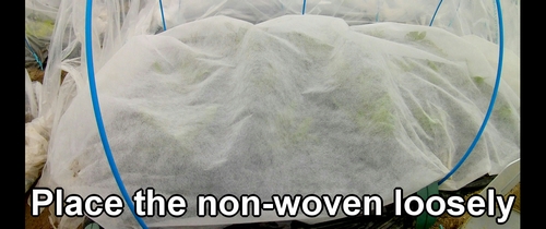 Place the non-woven fabric loosely