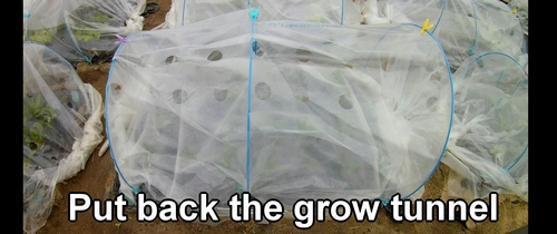 Put back the grow tunnel