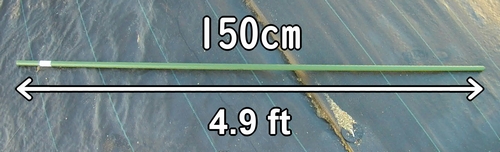 The length of the sugar snap pea stakes is 150cm (4.9 feet)