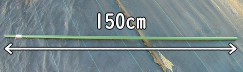 支柱の長さは150cm