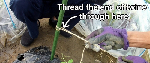 Thread the end of the twine through the base loop