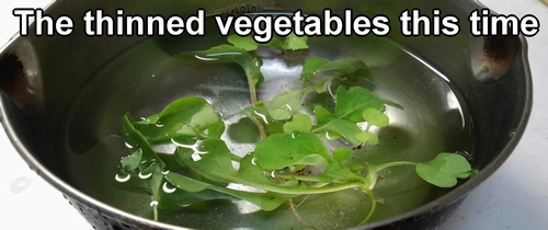 Thinned vegetables