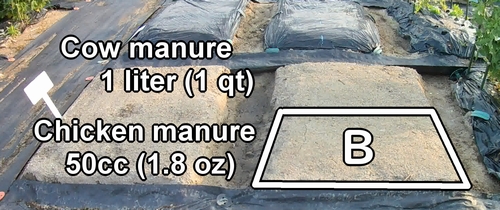 The organic fertilizer needed for row B includes cow manure and chicken manure