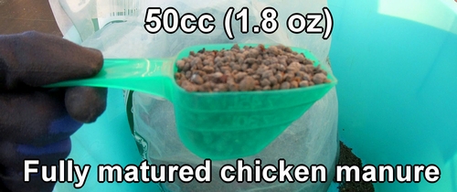 Fully matured chicken manure