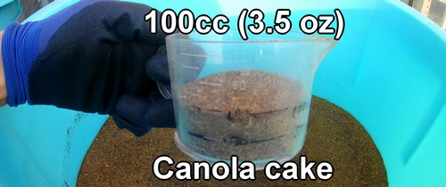 Canola cake, an organic fertilizer rich in nitrogen