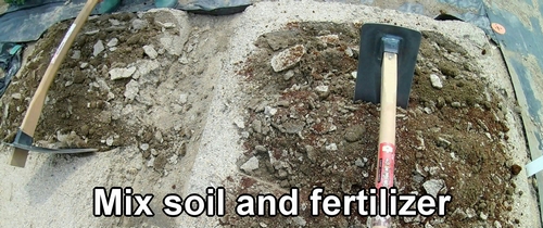 Mix soil and fertilizer