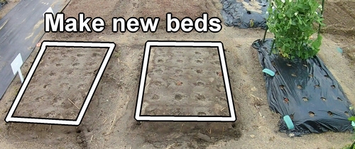 Create beds for summer vegetables