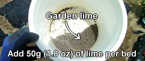 Dolomitic lime (garden lime) used for preparing the garden soil