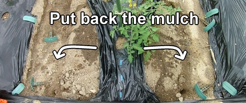 Put back the mulch