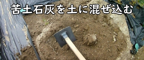 苦土を土に混ぜ込む