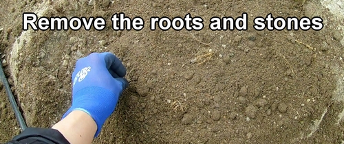 Remove the roots and stones
