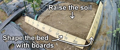 Adjust the bed