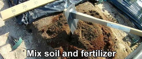 Mix soil and fertilizer