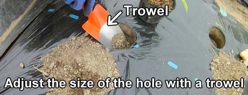 Adjust the size of the hole with a trowel