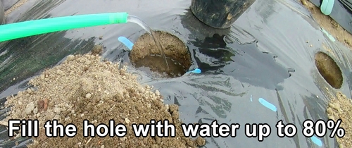 Fill the hole with water up to 80%