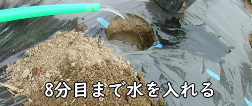 8分目まで水を入れる