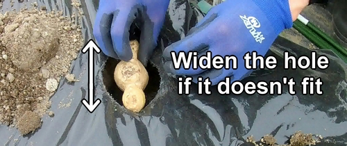 Use a trowel to widen the hole