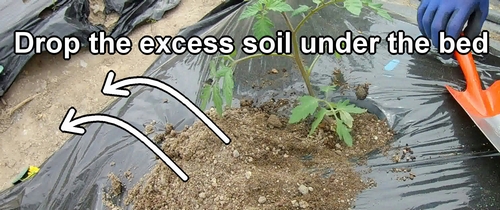 Any excess soil from planting seedlings should be dropped beneath the bed