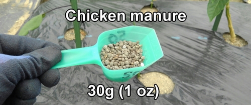 Organic chicken manure (fully matured fermentation)