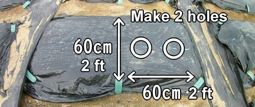 Make 2 holes in a peanut plot