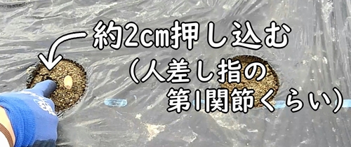 深さは約2cm