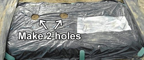 Make 2 holes in a plot