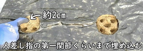 深さは約2cm