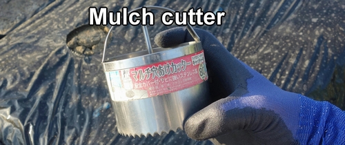 Mulch cutter