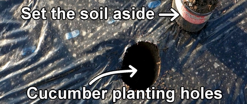 Set aside the soil from inside the hole