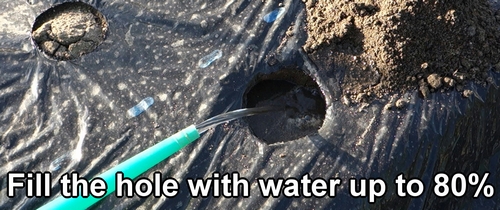 Fill the hole with water up to 80%