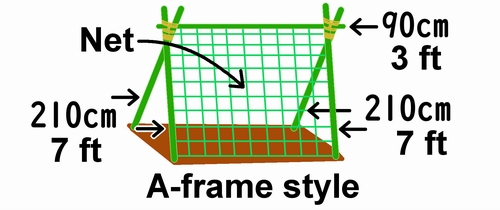 The A-frame style method used in the vertical cultivation of cucumber