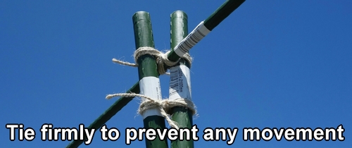 Tie firmly to prevent any movement