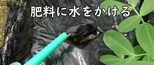 肥料に水をかける