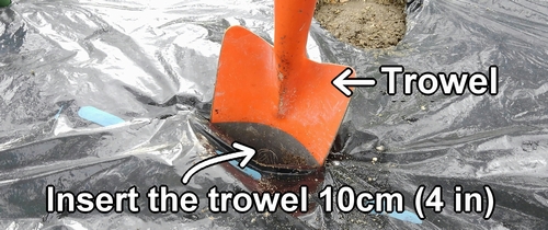 Insert the trowel about 10cm (4 in), widen the hole