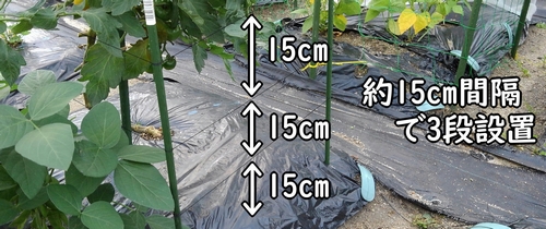 約15cm間隔で3段設置