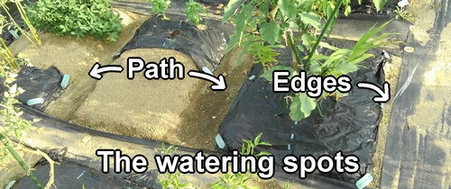 The watering spots