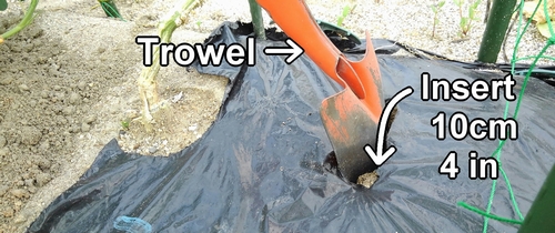 Insert the trowel into the cut in the mulch