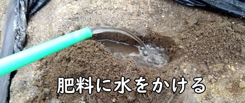 肥料に水をかける