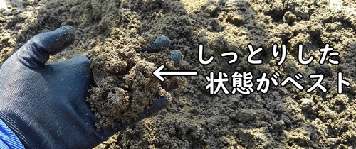 キャベツと茎ブロッコリーの植え付けに適した土