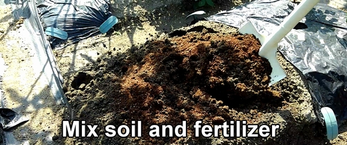 Mix soil and fertilizer